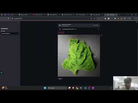 Project- Plant Leaf Disease detection use CNN(Deep Learning)
