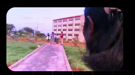 Explore Haromaya University Through Engaging TikTok Videos