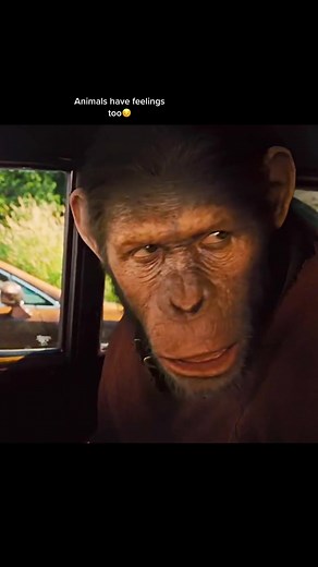 Exploring Human-Animal Connections in Nature