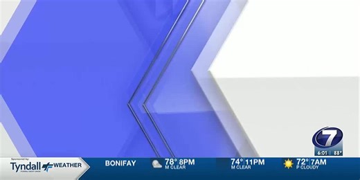 MAYOR NELSON RECALL NOT VALID LIVE 080725