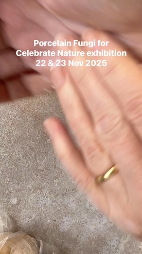 Celebrate Autumn! Exhibition with Sarah Lambert Nature Photographer and Langdyke Countryside Trust. 23rd & 24th Nov. 2025. In the cabin on Torpel Nature Reserve, on the very western edge of Helpston, Cambs,UK. Free entry. Porcelain, photography and treasures celebrating Langdyke’s nature reserves. | Kathryn Parsons - Artist