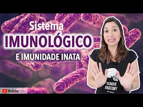 Immune System and Innate Immunity | Anatomy etc