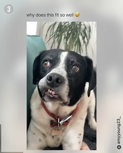 “Unhand me woman” 😭 | Betch