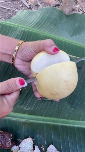Fresh buah pir #viralvideo