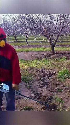 This machine destroys entire rat colonies in seconds 😱