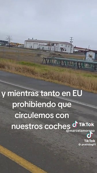 Videos de marcel amoroso (@marcelamoroso) con “sonido original - marcel amoroso”