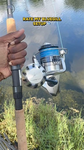Rate my setup bluegill 1-10 🎣 #fishing #shimano #saragosa #bluegill #rodandreel