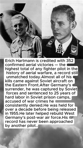 The German Pilot Who Was the Deadliest Fighter Ace in History — 352 Kills #ww2