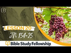 BSF - John - Lesson 20 - Jn 15:1-25