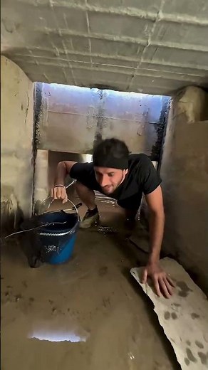 Ternal #facts #shorts