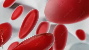 3D Visualization of Red Blood Cells