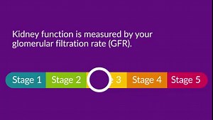 55 reactions · 44 shares | Doctors consider glomerular filtration rate (GFR) the best measure of kidney function. GFR helps determine a person’s kidney disease stage. Understanding GFR can help someone learn how to make healthy changes to slow kidney disease progression. | DaVita Kidney Care | Facebook