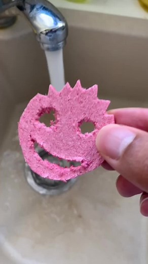 mypopsponge on TikTok