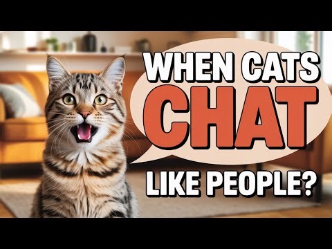 When Cats Chat Like People — You Will Not Believe What Happens!