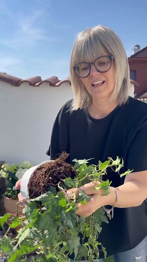 Rankhilfe selber machen für den Garten