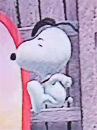 Snoopy Fly