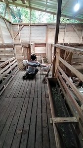 Susu Formula Racikan Sendiri untuk Anak Kambing: Solusi Intensif di Peternakan Mang Didin Di peternakan kambing Mang Didin, pemberian susu formula untuk anak kambing dilakukan secara intensif. Susu formula ini merupakan racikan sendiri yang terdiri dari susu sapi murni, sedikit air garam untuk membantu keseimbangan cairan tubuh, serta tambahan probiotik dari susu kefir. Perpaduan ini membantu menjaga pencernaan tetap sehat dan menunjang pertumbuhan anak kambing secara optimal. #anakkambing #susu