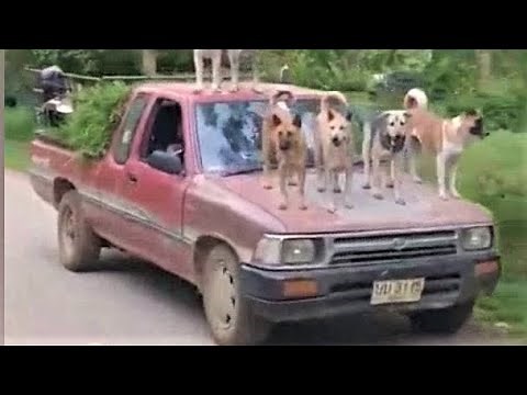 Best Fails/Wins of October 2020