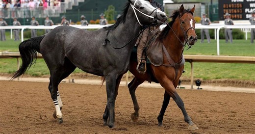 Kentucky Derby issues update after horse flipped and was scratched before race