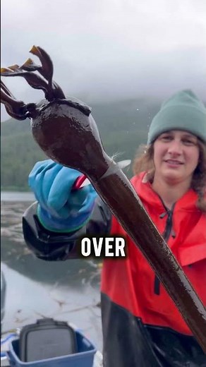 Why Are People Eating This Sea Plant