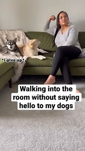 256K views · 10K reactions | There's no such thing as a moment's silence in our house  #funnydogs #kleekai #puppylove | Life With Klee Kai | Facebook