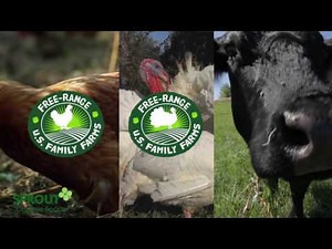 About Sprout Organic Foods