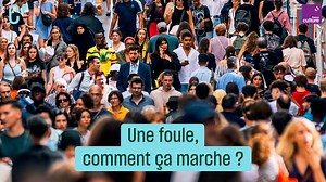 528K views · 5K reactions | Lorsque vous prenez un bain de foule, votre comportement ne dépend plus de vos choix individuels : vous êtes soumis à votre culture et aux lois de la physique. | France Culture | Facebook
