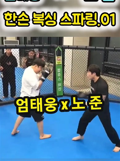 한손 복싱 스파링: 엄태웅 vs 노 준 분석