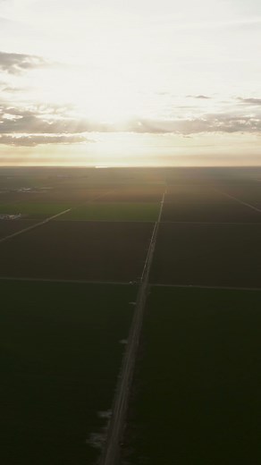 11K views · 235 reactions | We’re in the heart of our Huron growing...