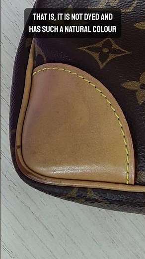 Louis Vuitton Handbag Restoration Requires PROFESSIONAL Dyeing Techniques