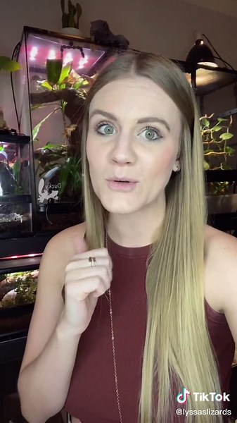 Exploring the Yellow Anaconda Enclosure | Reptile Mom Showcase