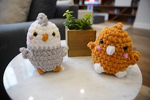 Crochet Bird Duo Plush Set - Etsy