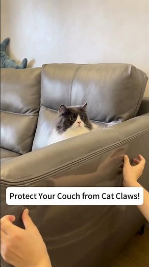 I Fixed My Ruined Sofa With This One Dumb Trick! (Stop Cat Scratching Furniture)