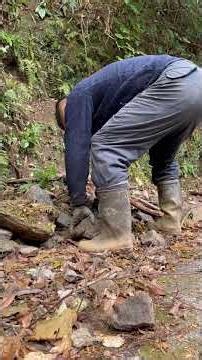 不法投棄は犯罪です 懲役5年以下または1000万円以下の罰金