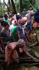 The whole village rescues a cow. Amazing it was healthy | Opposite Direction