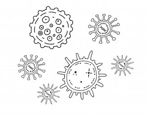 A Lymphocyte's Purpose 一个淋巴细胞的使命 by ShenceMYX