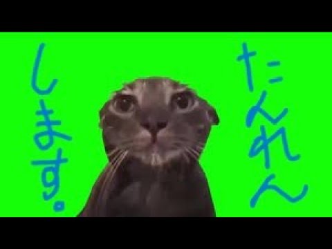 【DJMAX】DP8000を目指す漢