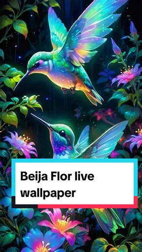 Beija Flor Live Wallpaper - Hummingbird 3D Motion Background