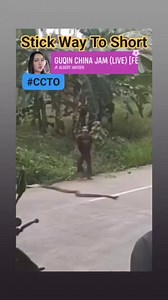 74K views · 342 reactions | When The Stick Is Too Short #sleepers #everyone #snake | Albert Hayden | Facebook