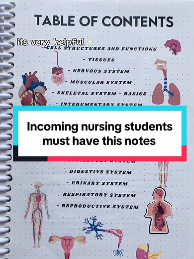 Essential Anatomy and Physiology Study Guide for Nursing Students