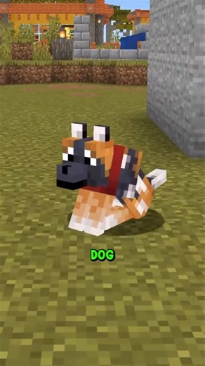 The Dog Mace Problem...