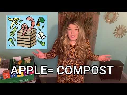 Practice the 3 R's (Reduce, Reuse, Recycle) | An Educational Video for Kids
