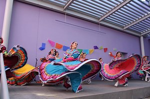 Children's Discovery Museum of San Jose on Reels