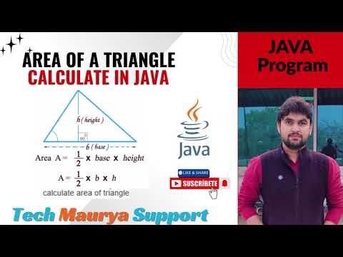 Area of Triangle in Java | Java Program for Beginners | Formula & Example