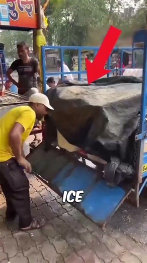 Ice and Salt Ice Cream Making Method #foryou #englishfacts #viralfacts #interestingfacts #foryoupage