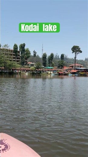 Kodai Star Lake | Beautiful Kodaikanal Lake Views 🌲🚣‍♀️ | Kodai Travel Vlog