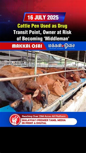 19 reactions | Cattle Pen Used as Drug Transit Point, Owner at Risk of Becoming 'Middleman' #DrugTrafficking #MalaysiaCrime #CattlePen #TransitPoint #MiddlemanRisk #DrugSmuggling #PoliceInvestigation #DrugAbuse #CrimeNews #BernamaNews | Makkal Osai | Facebook