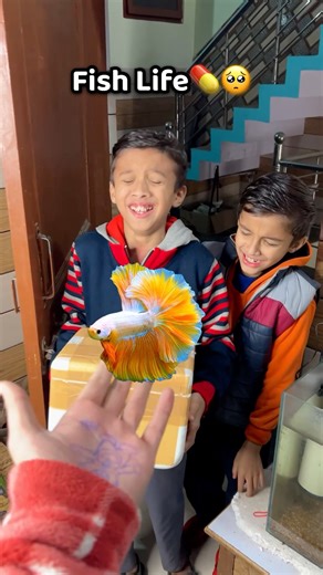 Betta Fish 🐠 ko bacha liya | 115/200 | Pets Vlog #minivlog #pets #petsvlog #aquarium #fish