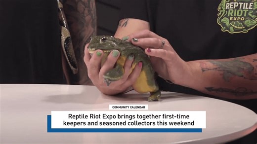 Reptile Riot Expo brings frogs, reptiles and fun to Southeast Texas morning show