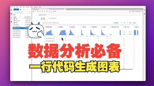 24年超火热的可视化工具pygwalker，一行代码生成数据可视化